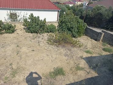 avto karavan: 10 sot, Tikinti, Mülkiyyətçi, Kupça (Çıxarış) — 8