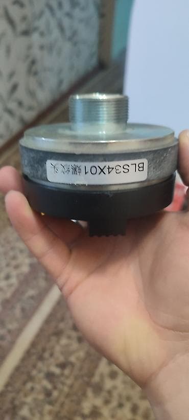 Qulaqcıqlar: Kimde var bunan Aliram Təsvir: - Yüksək tezlikli səs üçün — 2