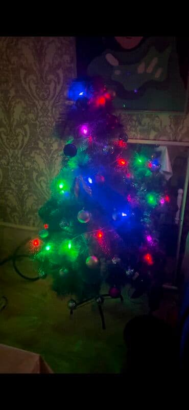 avokado ağacı: Hundurluk 1.5m. Elage wp — 5