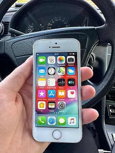 IPhone 5s, Gümüşü
