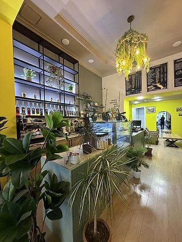 kafe aparati: Hazir işlək coffeshop biznesi 45 mn qiymət razılaşma olar Məkan — 2