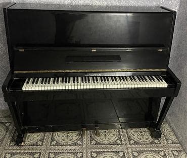 piano aliram: Piano, Belarus, Akustik — 1