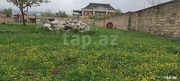 3 sot, Tikinti, Barter mümkündür, Kupça (Çıxarış)