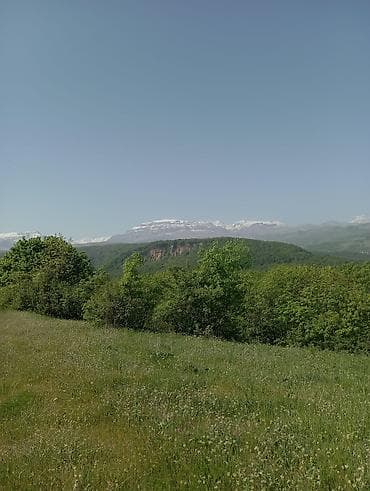 qus satisi: Quzu, Dişi, ay: 3, 30 kq, Damazlıq, Ünvandan götürmə — 1