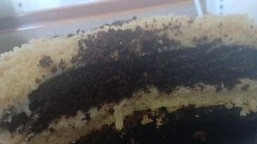 sufre: Ev istehsalı tortlar – sifarişlə - Klasik “Napoleon”: nazik qat-qat — 4