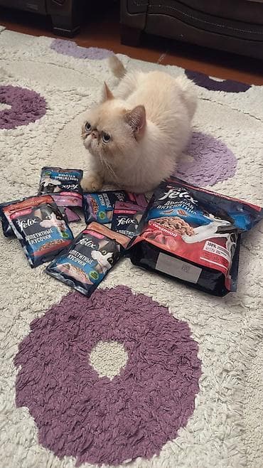 Quşlar: Ekzot — 2