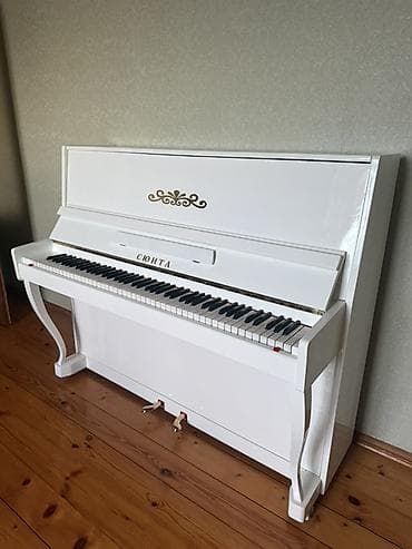 Музыкальные инструменты: Пианино, Акустический — 3