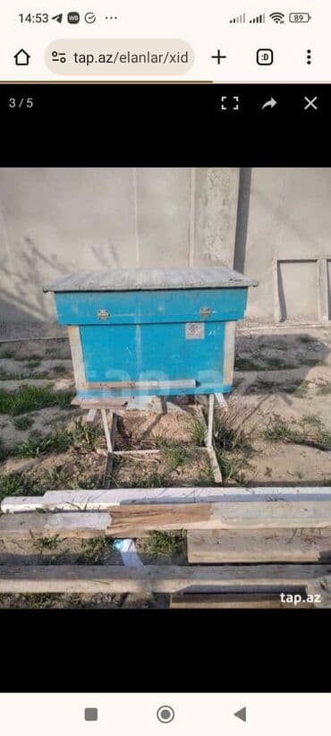 доска объявлений пчелы: Arilar.yesiyle bir yerde.Bakidadi — 2