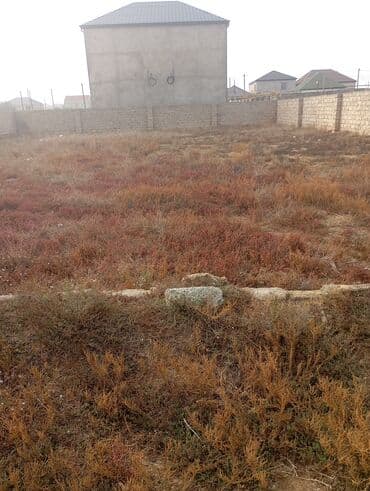 otel arendaya verilir: 7 sot, Tikinti, Mülkiyyətçi, Kupça (Çıxarış) — 1