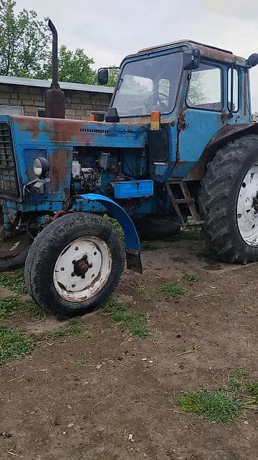 lovol 504 b: Traktor Belarus (MTZ) 80, 1984 il, 80 at gücü, motor 2.4 l, Yeni — 3
