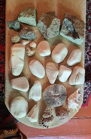 akvarium filterleri: Akvaryum komplekti - Şüşə akvaryum: düzbucaqlı forma, qara üst və alt — 4