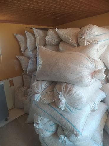leziz cerez: Ağ günəbaxan tumu 2ton 1kq-1AZN — 1