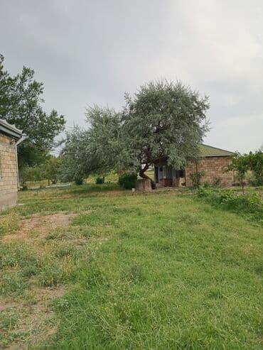 сколько стоит квартира в баку: Kürdəmir, 3 otaqlı, Köhnə tikili, 180 kv. m — 8