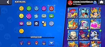 bal: Brawl Stars hesabı – yüksək inkişaf etmiş profil - Kupa yolu: 45.464 — 7
