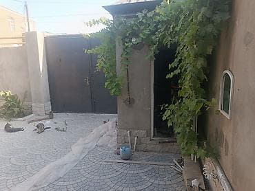 digahda evler: 3 otaqlı, 60 kv. m, Yeni təmirli — 3