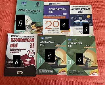 Книги и журналы: Азербайджанский язык 11 класс, 2024 год — 1