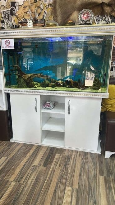 akvarium aksesuarlari: Böyük həcmli akvaryum, uzunu 120 eni 45 huduru 61 daxilində dekorativ — 1