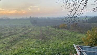 sumqayıt heyet evi: Ünvan: Qusar şəhəri Ləyər kəndi (ləzgi ləyər) 1hk 68 sot bağ yeri — 28