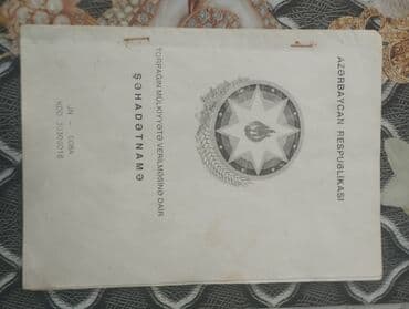 xacmazda torpaq satilir 2021: 7 sot, Tikinti, Mülkiyyətçi — 13