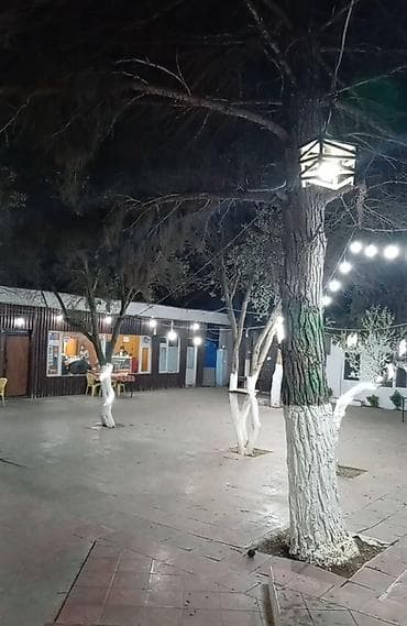 karvan ticaret merkezi: Kafe “Dostlar” – açıq havada geniş həyəti və rahat daxili zalı olan — 3