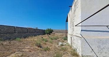 mastaga ev: Kupça (Çıxarış) — 4