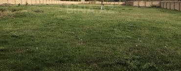 xacmaz torpag: Tikinti — 1