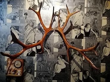 qapi ustu asmalar: Divar bəzəyi üçün nəzərdə tutulmuş buynuzlar. Tebii maral buynuzlar — 5