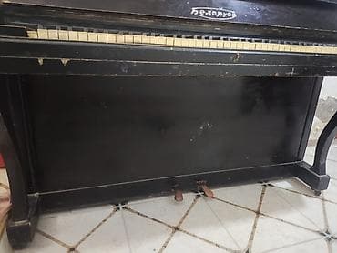 dicey aparatı: Piano, Belarus, Akustik, Ünvandan götürmə — 3