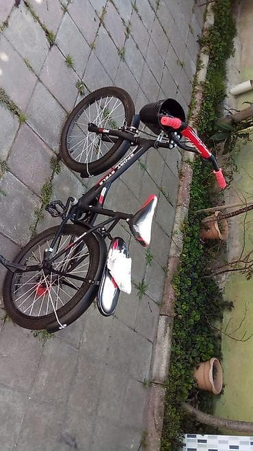 İncəsənət və kolleksiyalar: Uşaq velosipedi – “SPORT STELS” dizaynı 1 aydi alinib. Uşaq. xarice — 2