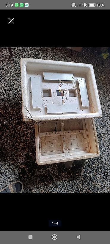 İnkubatorlar: 100 yumurta, Türkiyə, Bütün növ quşlaq üçün — 2