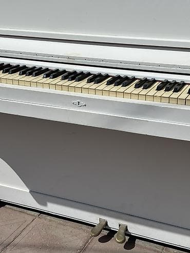 studiya mikrafonu: Ağ rəngli akustik upright pianino - Klassik vertikal korpus, sadə və — 4