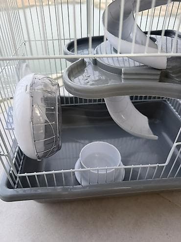hamster satış: Hamster üçün çoxmərtəbəli qəfəs və aksesuar dəsti hamisi bir yerde — 2