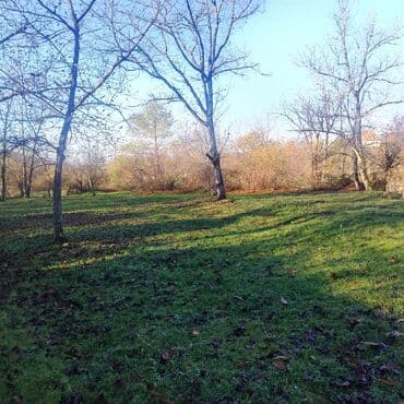 tecili ferma satilir: 12 sot, Mülkiyyətçi, Kupça (Çıxarış) — 5