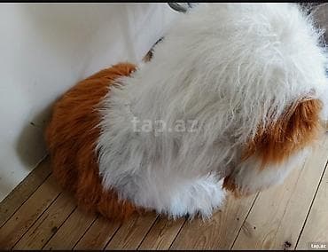 Uşaq geyimi və ayaqqabıları: Əla vəziyyətdə — 1