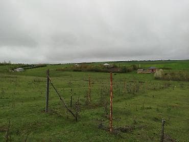 qax kiraye evler: Kənd təsərrüfatı — 3