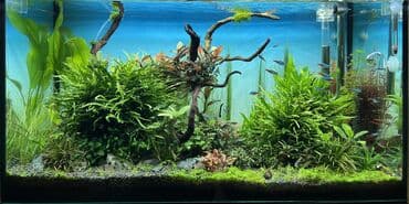 Aquael leddy slim sunny 32w (80-107 sm) Çin malları ilə səhv salmayın