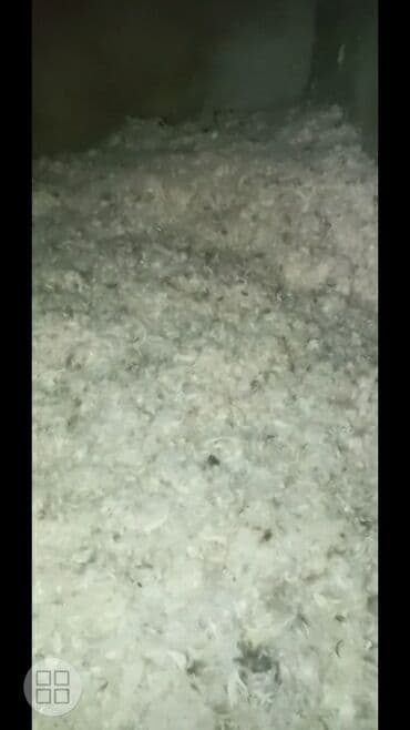 Digər ev dekoru: Yuxu üçün Yeni Yastıq, Ödənişli çatdırılma — 2