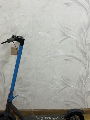 гироскутеры 10 дюймов: Elektrikli skuter – WingZ - Şəhər içi rahat hərəkət üçün elektrikli — 2