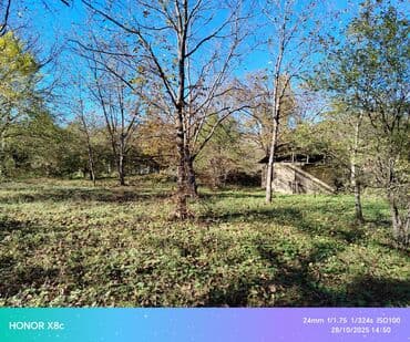 qurd dərəsində torpaq: 12 sot, Tikinti, Mülkiyyətçi, Kupça (Çıxarış) — 3