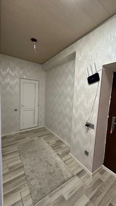 otaq yoldaşı axtarılır: Geniş və işıqlı zalı olan zövqlü mənzil interyeri. - Zal: dekorativ — 3