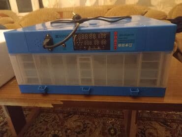 услуги инкубатора в бишкеке: Для всех видов птиц — 2