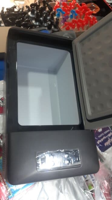 пылесос для машины баку: Maşin uçün soyuducu, həcmi 15L,Firon ilə işləyir — 12