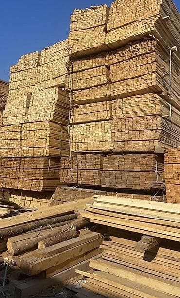 paddon taxtasi: Taxda şalban topdan perakende satiş — 1