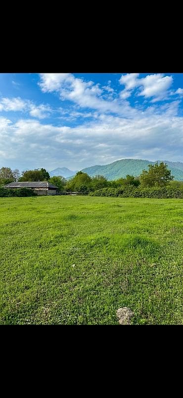 bine torpaq: 40 sot, Biznes üçün, Maklerlər narahat etməsin, Kupça (Çıxarış) — 2