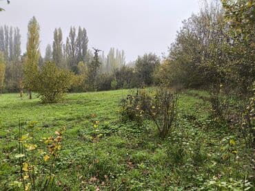 продается земельный участок: 28 sot, Maklerlər narahat etməsin, Kupça (Çıxarış) — 2