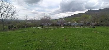 10 sot, Tikinti, Maklerlər narahat etməsin, Müqavilə