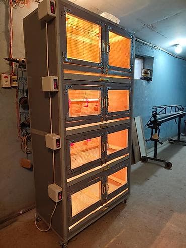 İnkubatorlar: Şəxsi təsərrüfat qurmaq isdəyirsən? biznes yaratmaq isdəyirsən? onda — 9