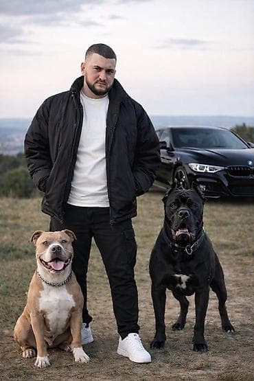 Другие специальности: Продавец-консультант требуется, 18-29 лет, 3-5 лет опыта, Ежемесячная оплата — 1