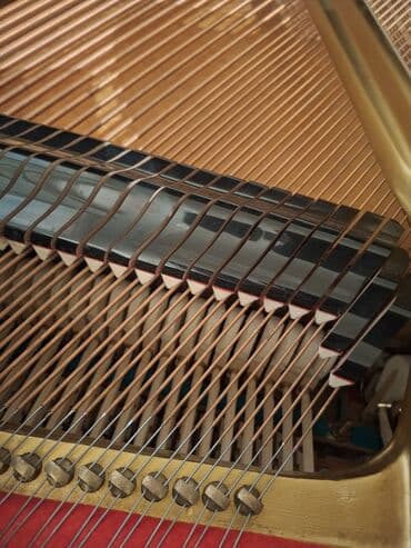 Musiqi alətləri: Royal, Akustik, Yeni, Pulsuz çatdırılma — 6
