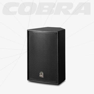 studiya və konsertlərüçün kalonkalar: Yeni Kolonka, Növ - Akustik, rəng - Qara — 9